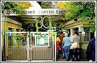Der Zoologische Garten Eberswalde:
mit dem 'aufregendsten Lwen-Gehege der Welt'
- einer der schnsten kleinen Zoo's Deutschlands -
in der Kreis-Stadt Eberswalde, Landkreis Barnim